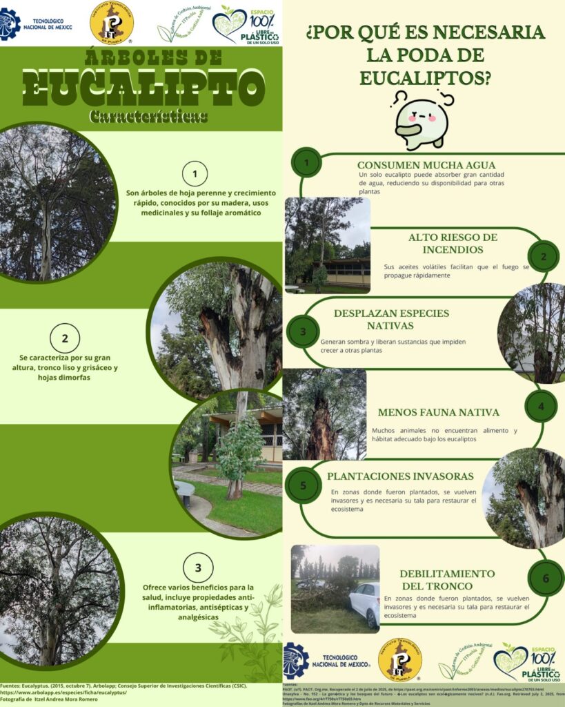 Les comparto esta importante información…