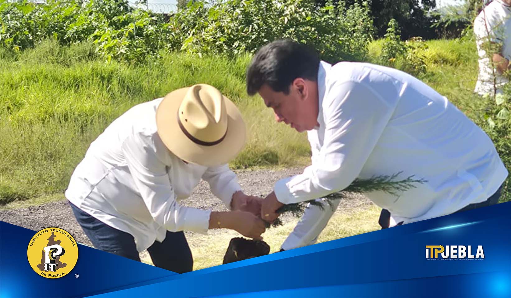 Jornada de Reforestación 2026